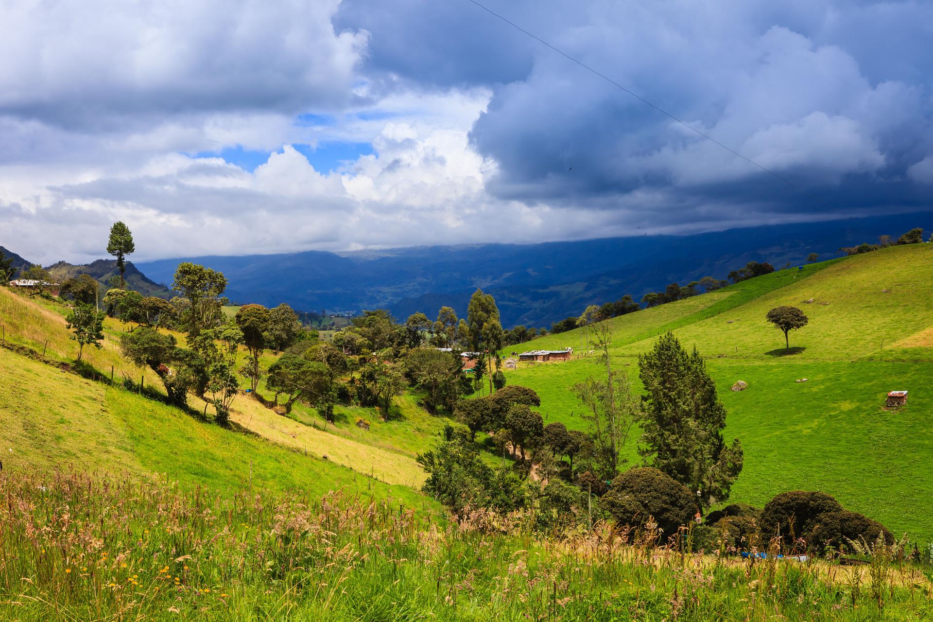 Colombia: A Valley Near Choachi Shows Off Pristine Nature And Grasslands On The Andes Mountains In The Country