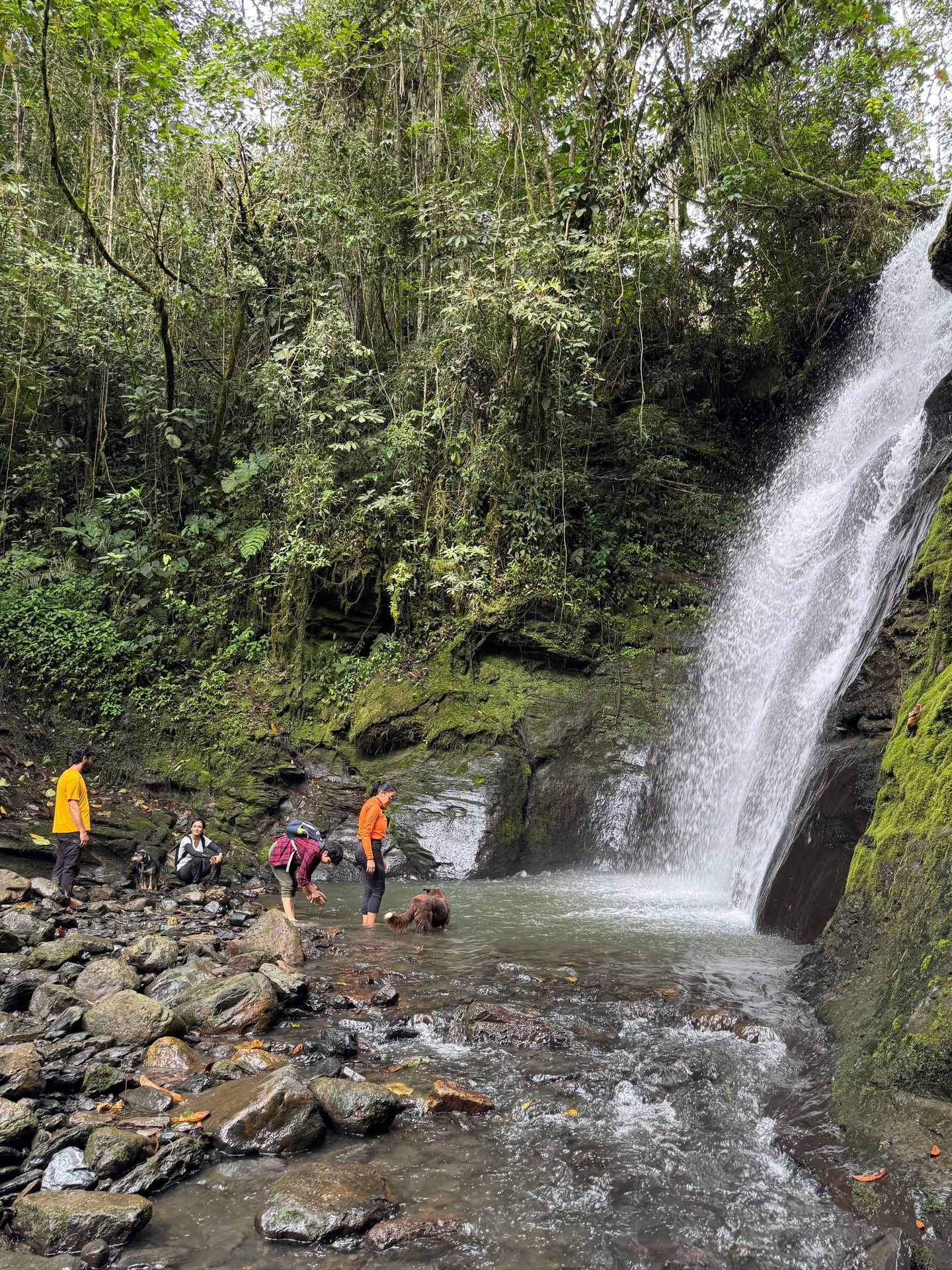 Aventuras en río y cascadas